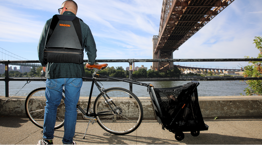 The Evolution of Urban Pet Gear: How WAGGIN is Changing the Game