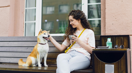 5 Ways to Welcome Spring with Your Pet