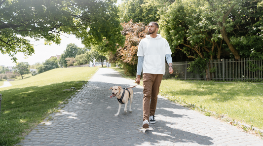 Paws & Reflect: The Importance of Daily Walks for You and Your Pet