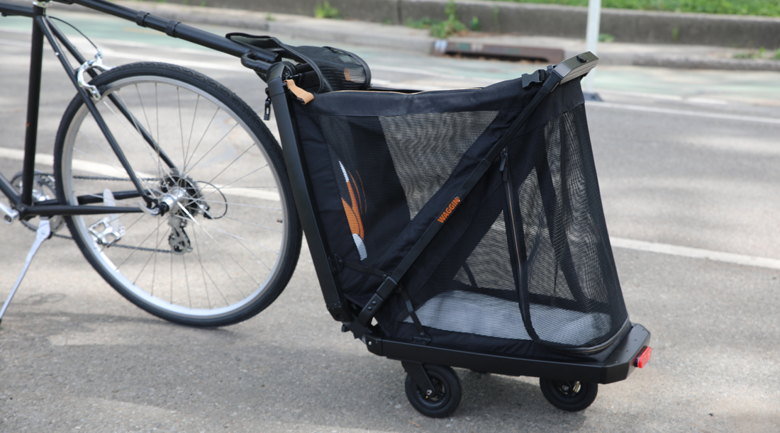 Why Every Urban Pet Owner Needs the WAGGIN G1