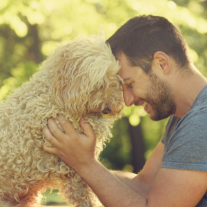 Unleash Your Best Year Yet: Tackle your Resolutions with your Fur-Baby