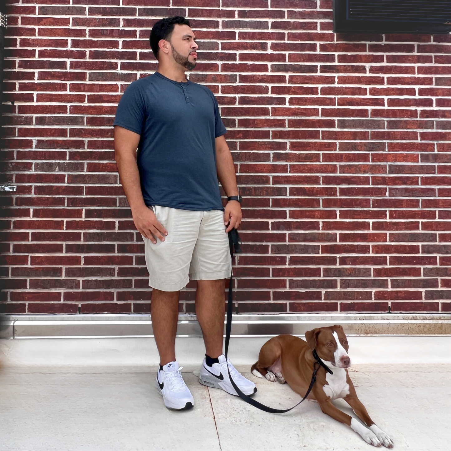 WAGGIN Walkin' Bundle