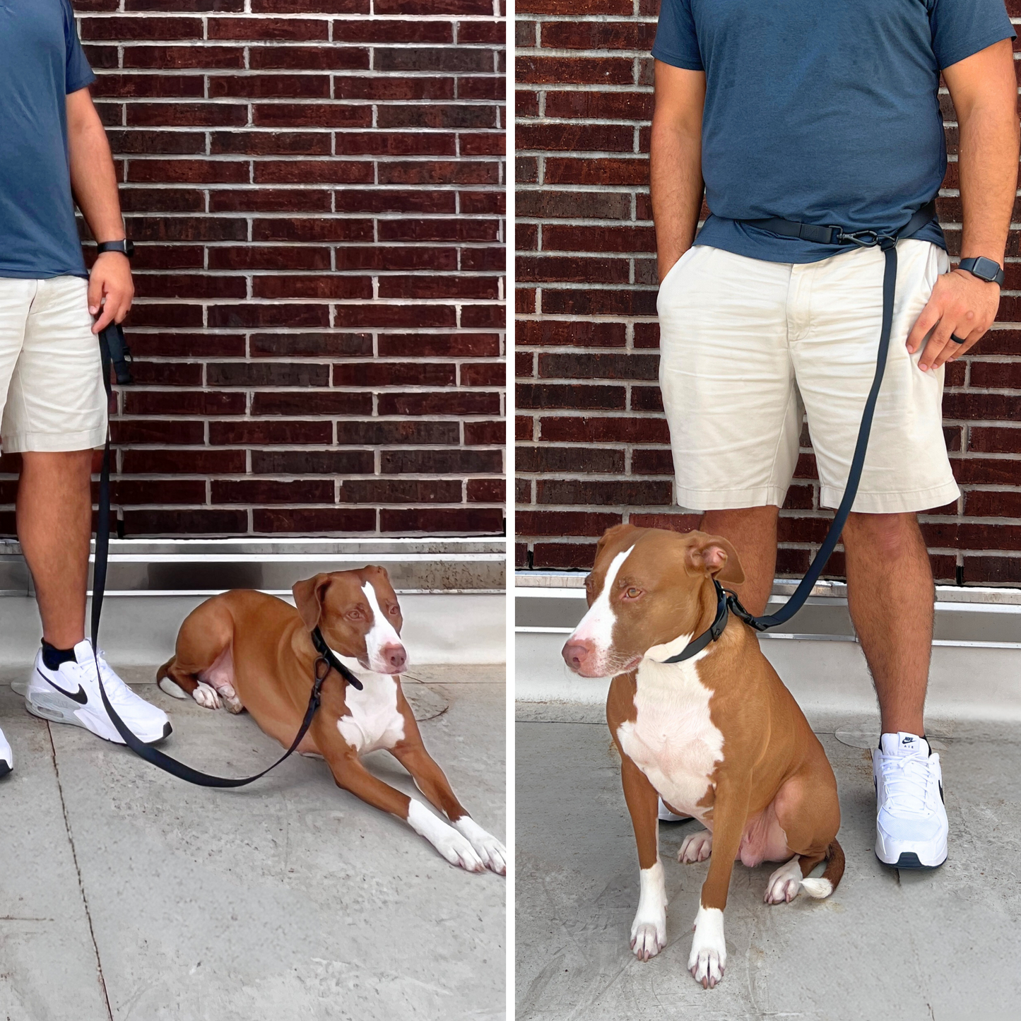 Walkin' Leash
