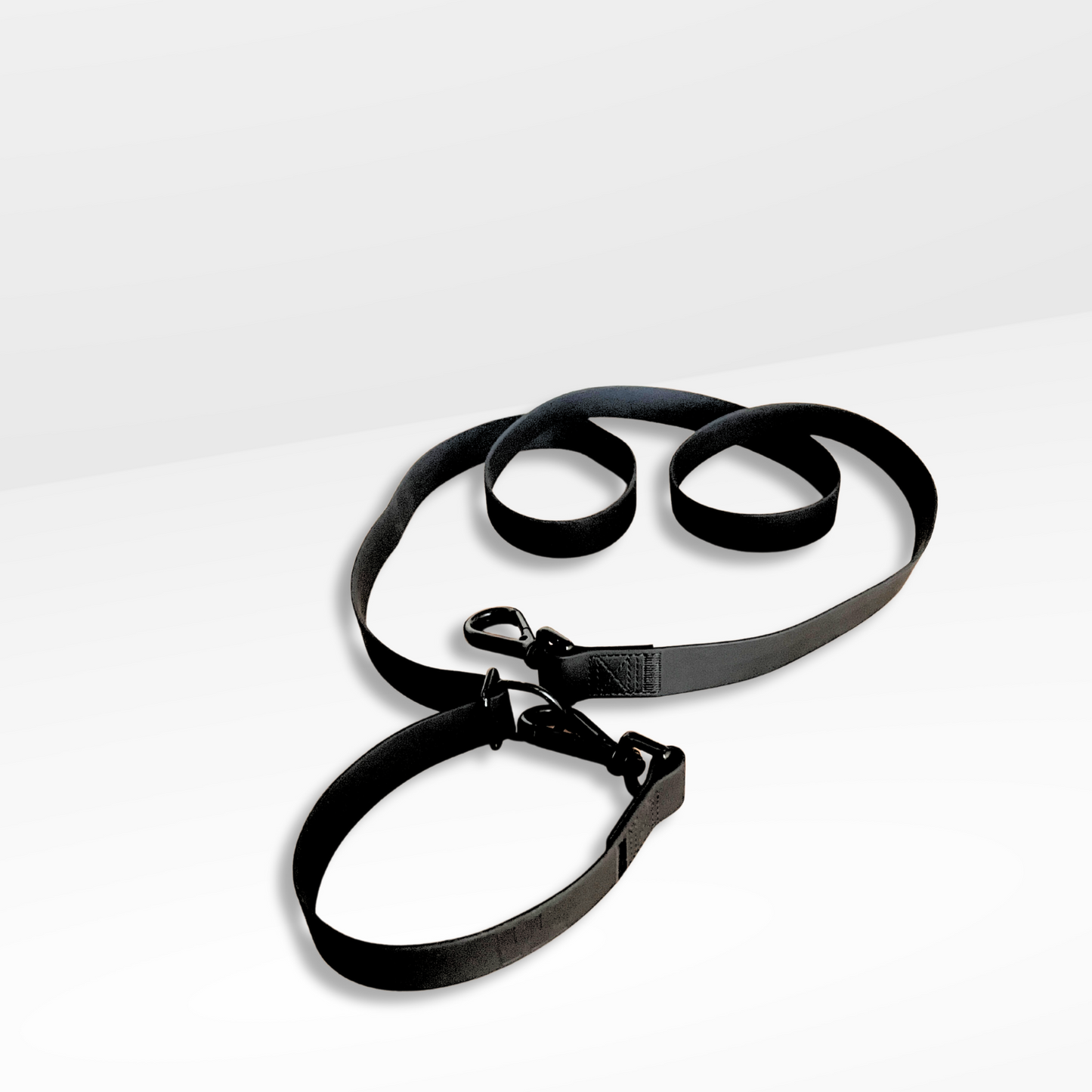Walkin' Leash