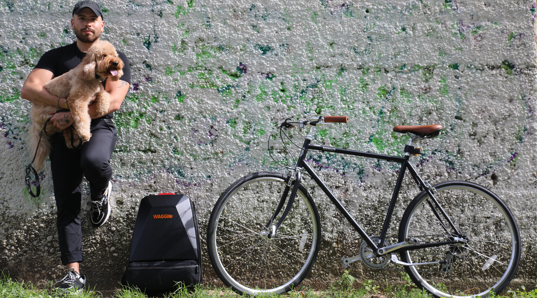 Paws & Reflect: How the WAGGIN G1 is Changing Urban Pet Adventures