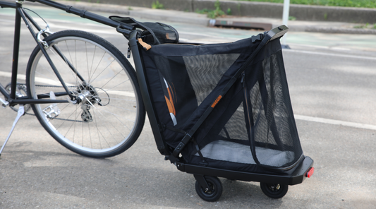 Why Every Urban Pet Owner Needs the WAGGIN G1