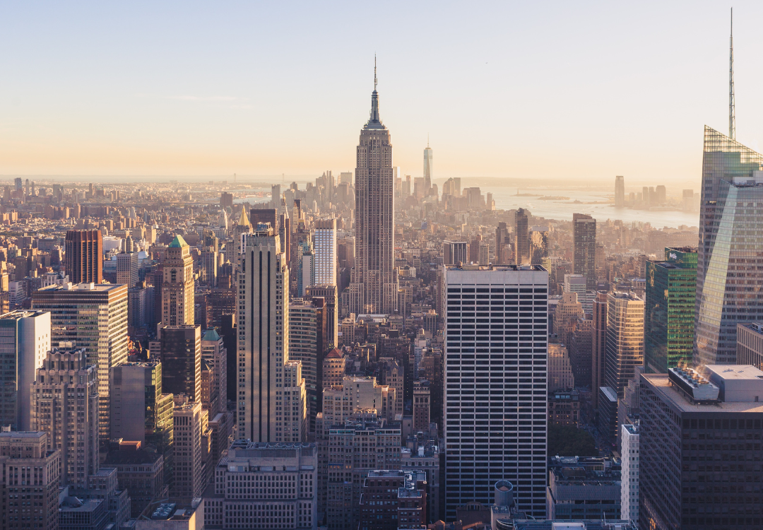 5 Exciting Activities for Urban Pet Parents in NYC