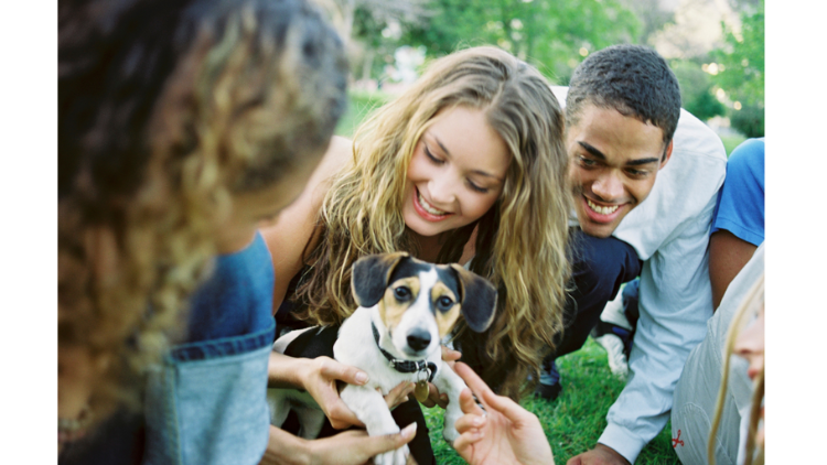 Takes a Village to Raise A...Dog!