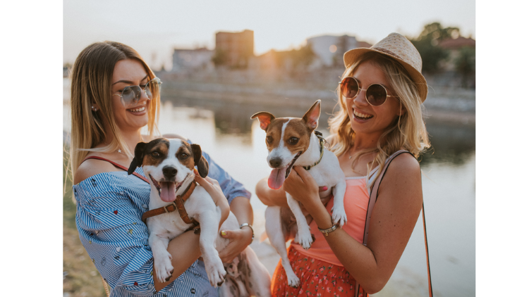 Turning Strangers into Puppy Buddies