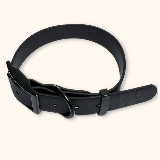 EVERYDAY BUCKLE COLLAR