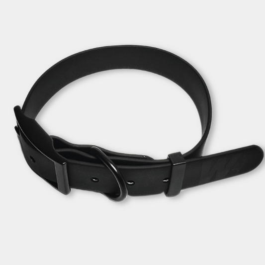 Everyday Buckle Collar